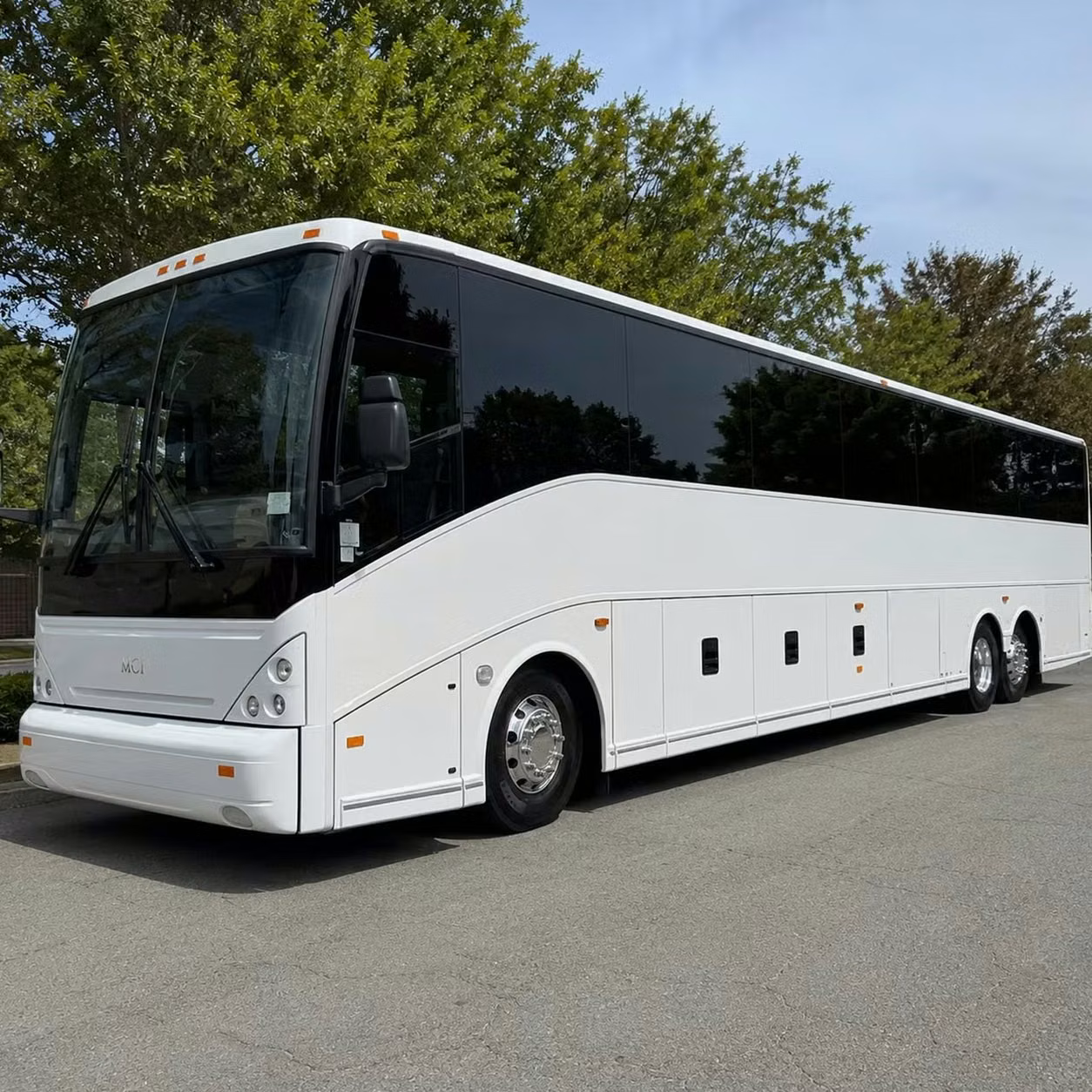 rome 15 passenger minibuses to 56 passenger charter buses for rome teams