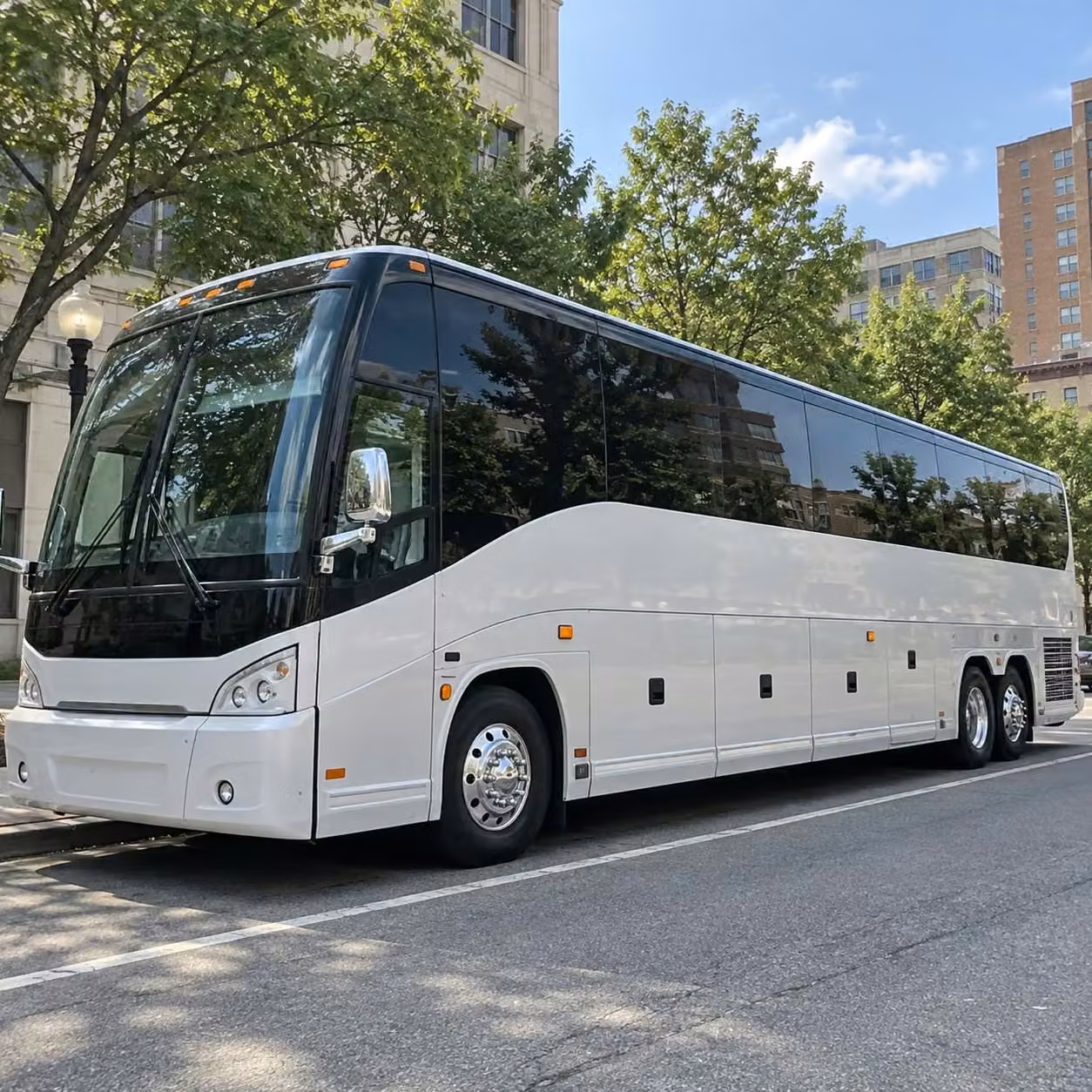 rome buses