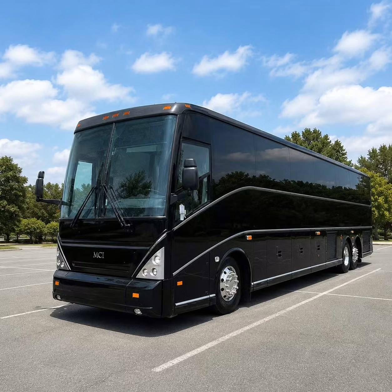 rome family reunion bus rentals in rome