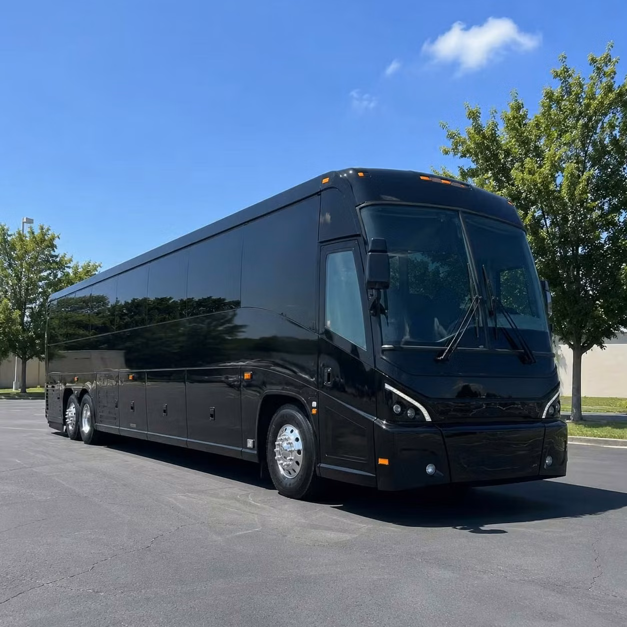 rome out of town wedding winery and festival bus rentals from rome