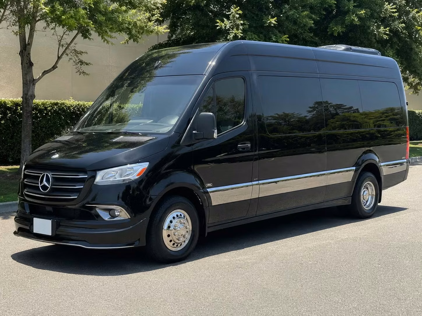 rome sprinter van rental with driver